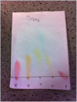 Candy chromatography lab results